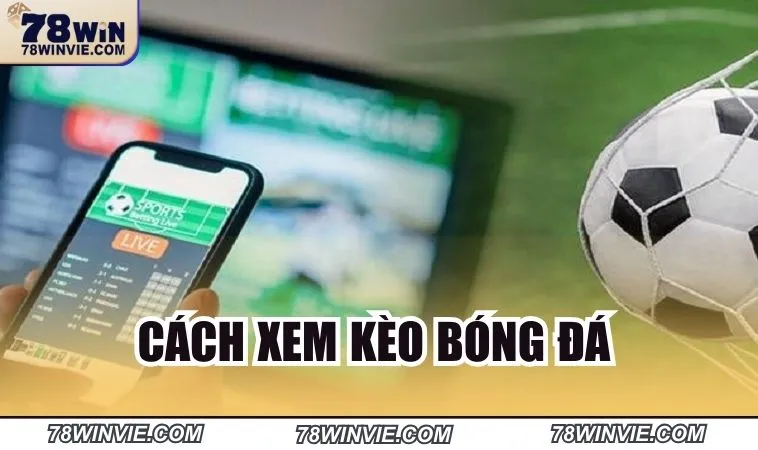 Cách xem kèo bóng đá chi tiết dành cho bạn 