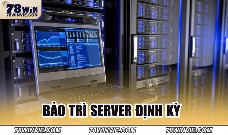 Định kỳ bảo trì server nhà cái